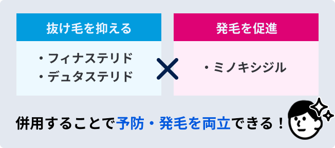 抜け毛を抑える薬と発毛を促進する薬の併用で予防・発毛を両立できることを示す図